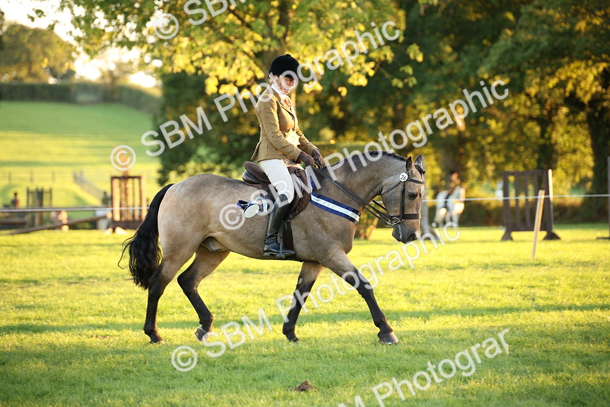 SBM_57079 - Veteran Supreme Championship