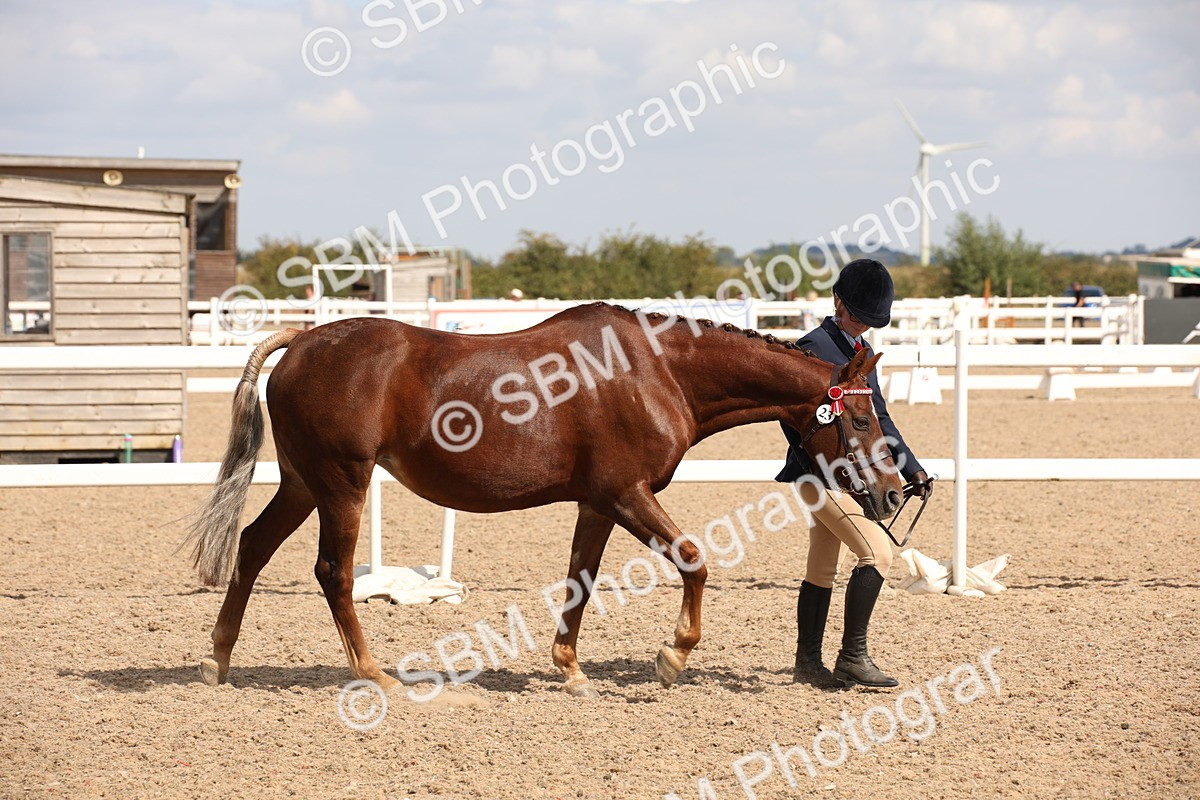 SBM_03803 - Class 19 Judge's Favourite