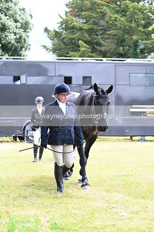 WJ7_6813 - Class 5a Most Handsome Gelding in Hand