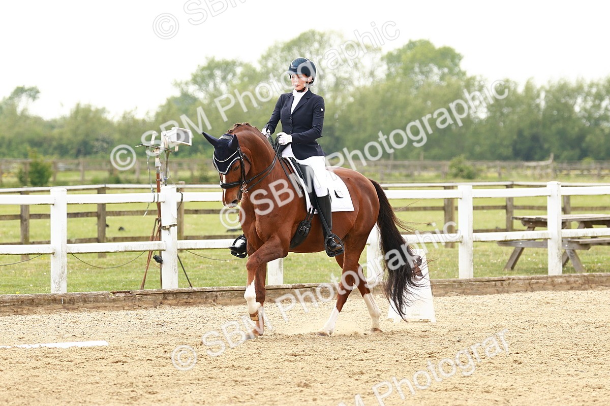 SBM_002784 - Class 12 - Medium 4