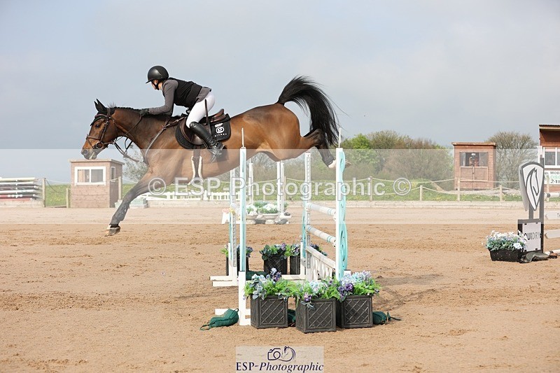 250424-093411-02875 - Cls 29 Young Horse 6yr old