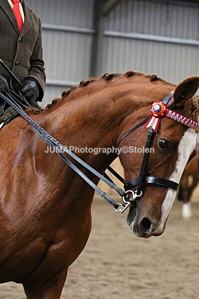 SIAL3050 - Sunday 14th Ridden