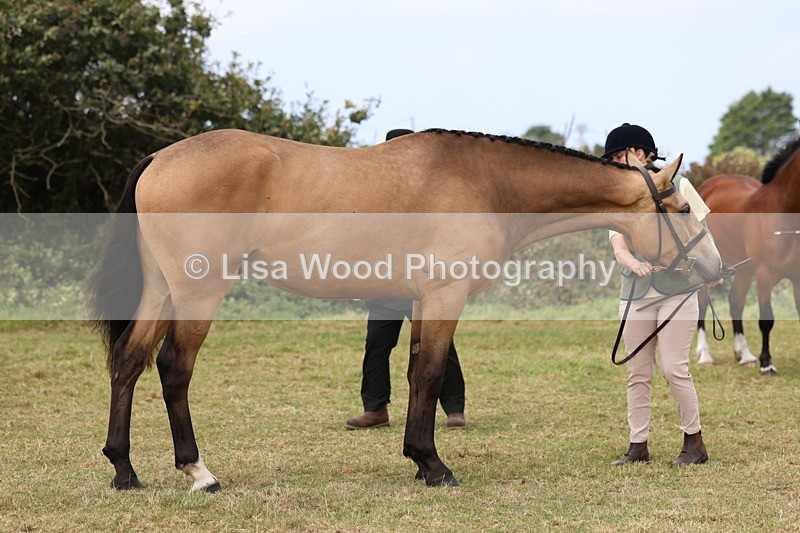 3E7A4421 - Class 15: Three Year Olds