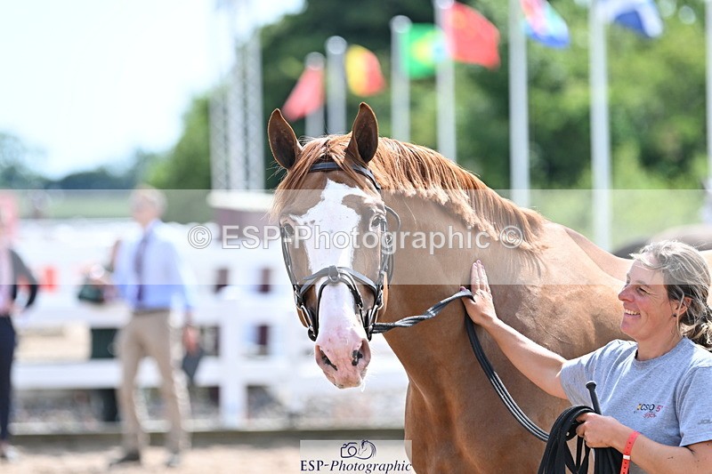 240717A-144803-02297 - Trot Up 2pm to 3pm - This folder is not in time order