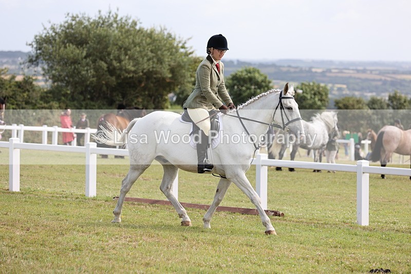 JPP_1491 - Class 17: Cornish Combination Open