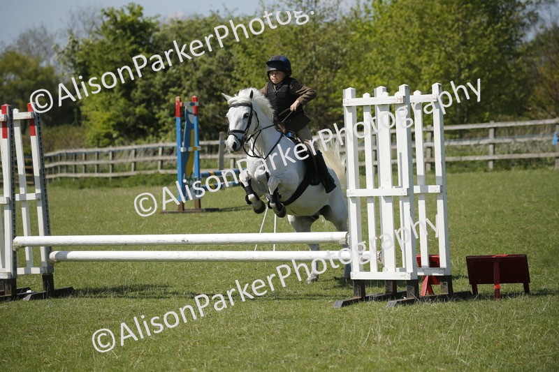 20250427-2330 - Class 13 - Novice Jumping 60cm