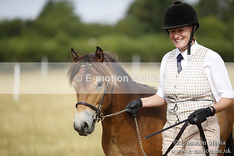 _C7A9178 - BVRC Sow 2018 Ring 2