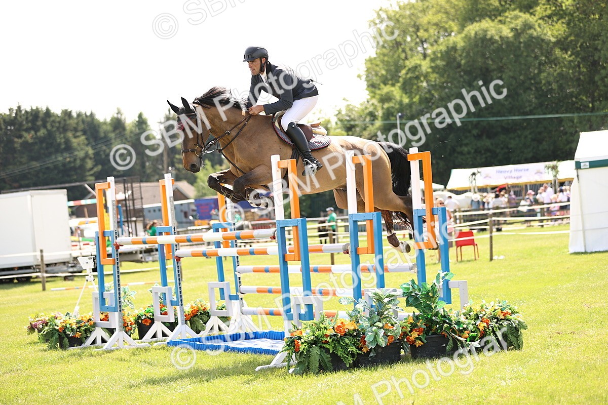 SBM_03252 - Class 201 - British Horse Feedds Speedi Beet HOYS Grade C