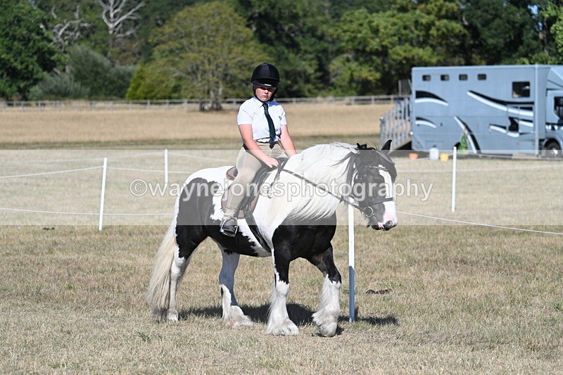 WJ7_2044 - Class 44 Child's Best Friend