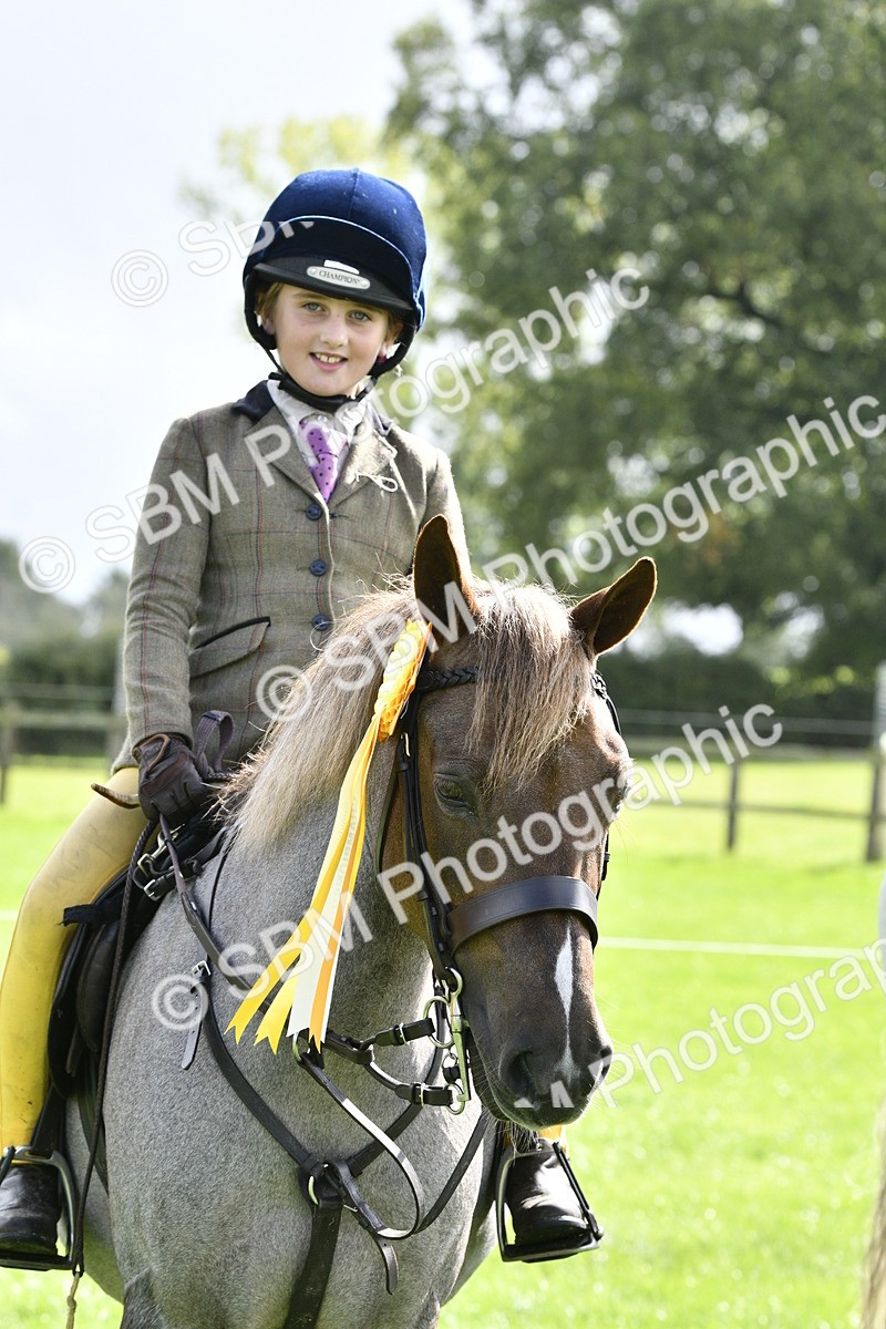 SBM_41666 - S32 - Mountain & Moorland Working Hunter Pony