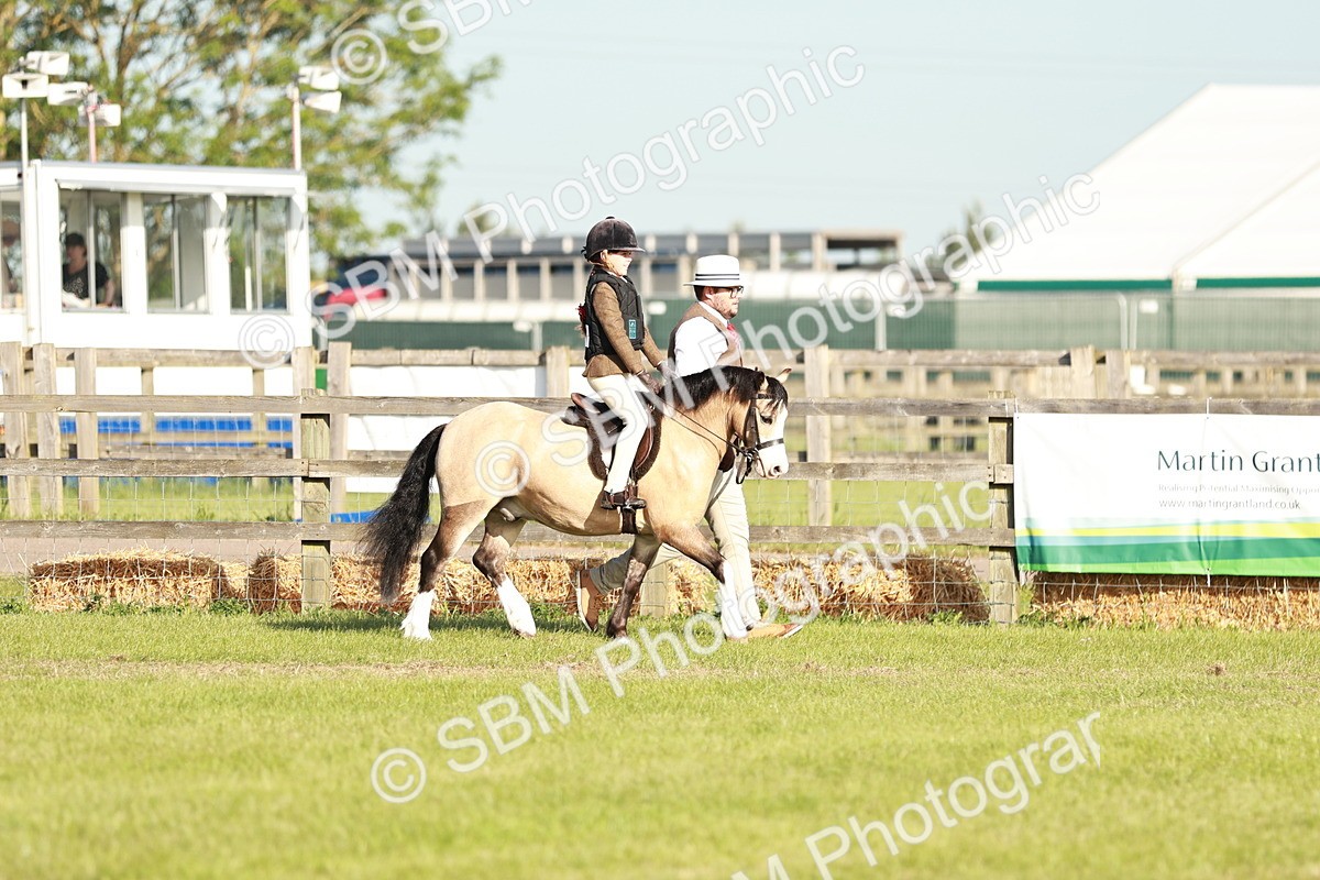 SBM_11033 - Class 106-107 - BSPS LIHS Working Sports Pony