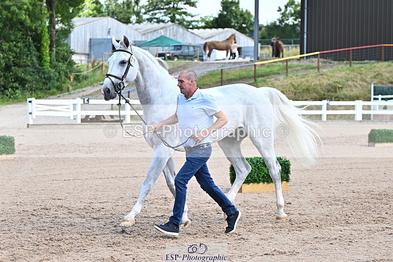 240718A-105253-01277 - Trot Up 12pm to 1pm