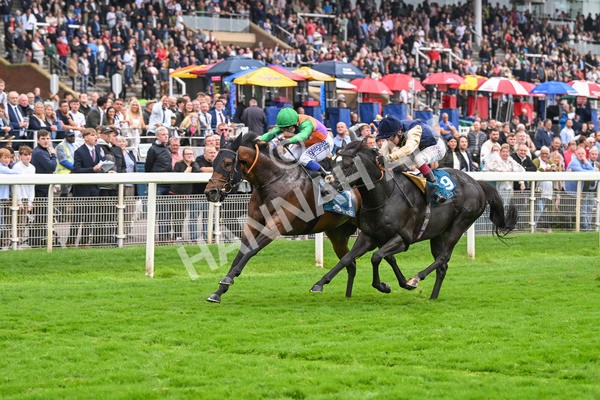 080924-Race 5-Quinault-9327 - Race 5 4.00pm Starman At Tally Ho Stud Garrowby Stakes