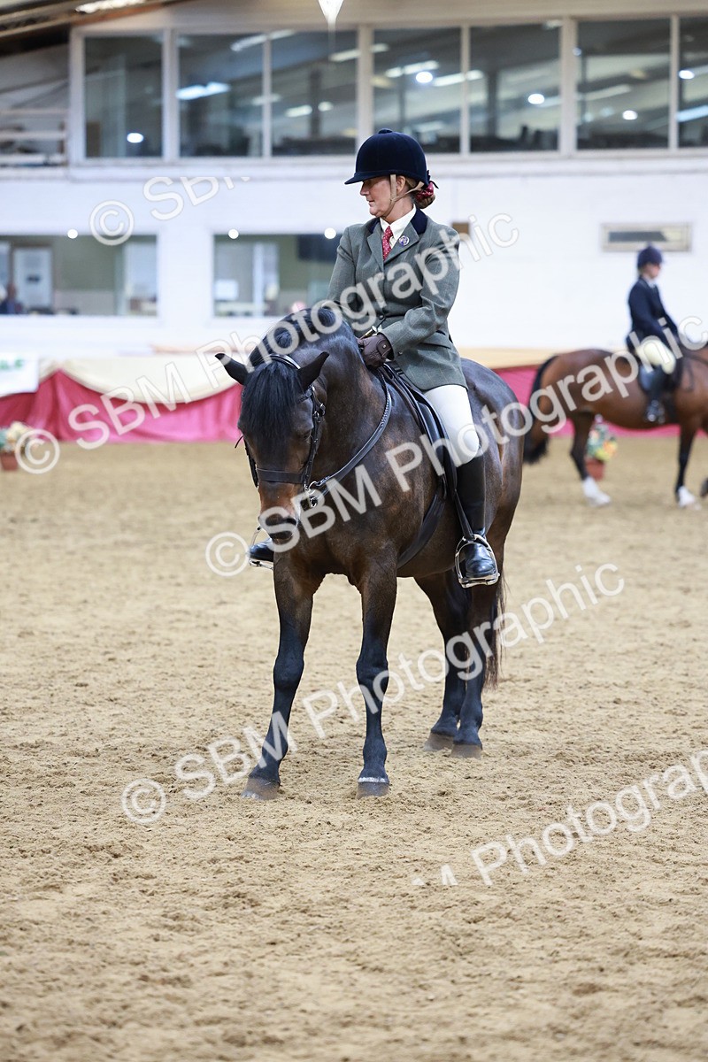 SBM_18848 - Class 952 - M&M Ridden Supreme Final