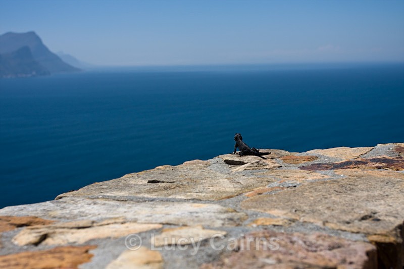  - Capetown, South Africa