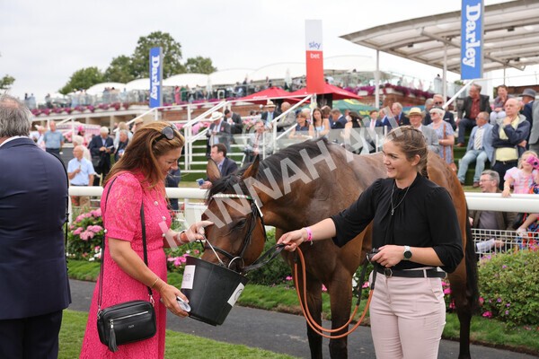 yr18082022r5-44 - Race 5 4.10pm British EBF & Sir Henry Cecil Galtres Stakes