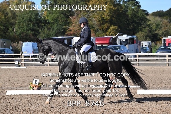 BPP_8746 - LONG ARENA