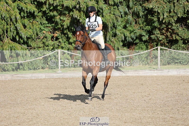 250803A-172159-17836 - R-825-Helen.Buckland-LIVERMORES.MIDNIGHT.DIAMOND