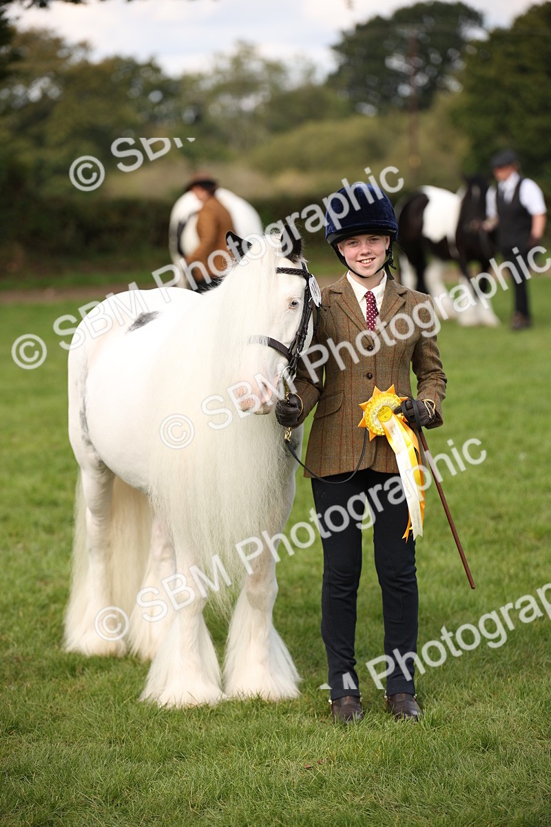 SBM_62315 - S55 - Traditional Cob In Hand