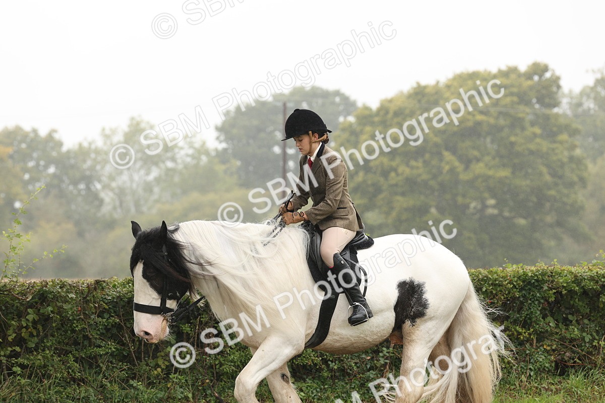 SBM_72748 - S70 - Traditional Cob Ridden