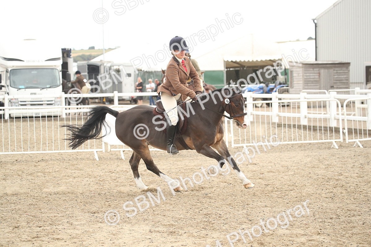 SBM_17922 - Class 508b - Working Veteran 70cm (20+)