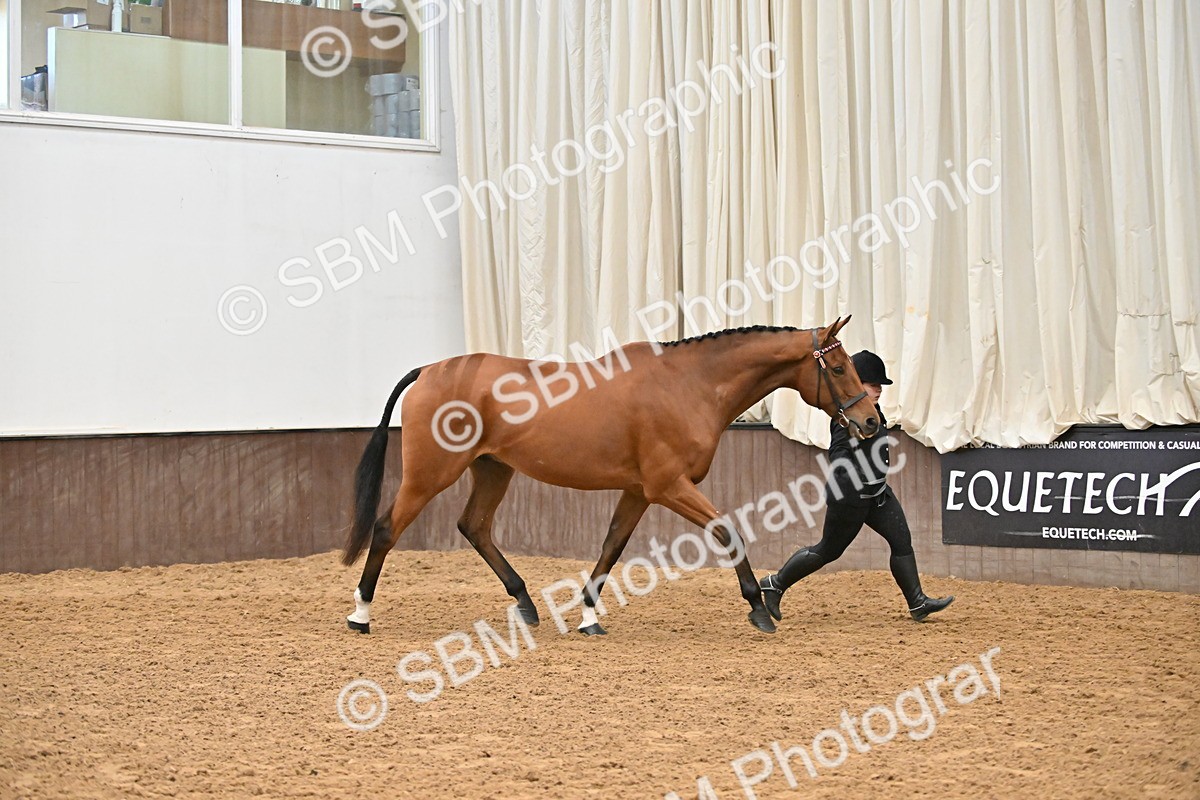 SBM_000215 - Class 7 - ROR Tattersalls In Hand