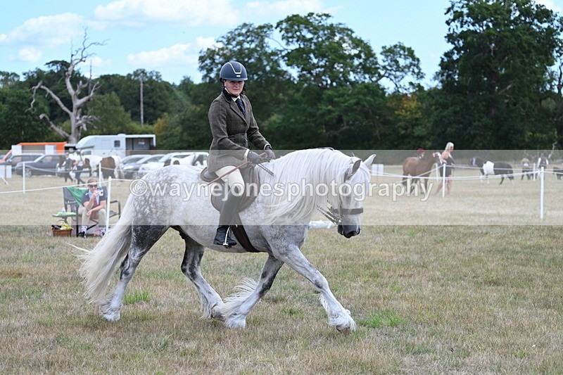 WJ7_4918 - Class 12 Ridden Cob