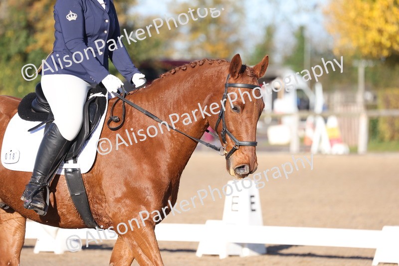 20251102-0310 - Class 2 - Prelim 6