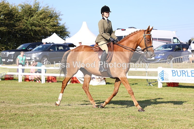 3E7A5239 - Class 2: Rising Star Large Hack/Riding Horse