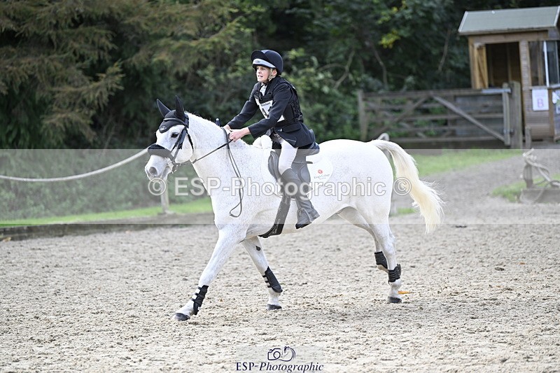 251005A-131017-04087 - Cls 08 Mini 70-75cm