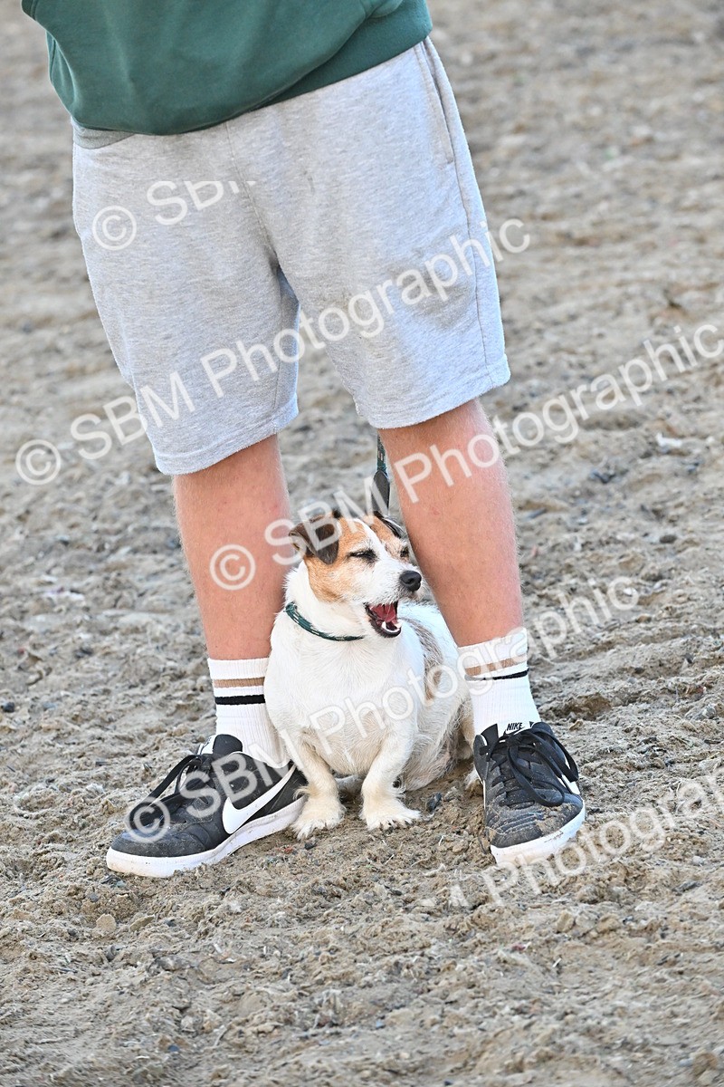 SBM_09574 - Lorry Dogs