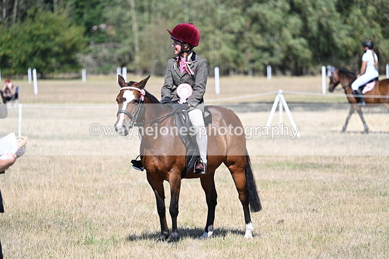 WJ7_4181 - Class 9 Mountain & Moorland Ridden