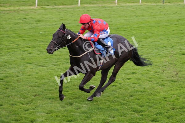 yr23072021r6-18 - Race 6 8.30pm Sky Bet Go-Racing-In-Yorkshire Summer Festival Stakes