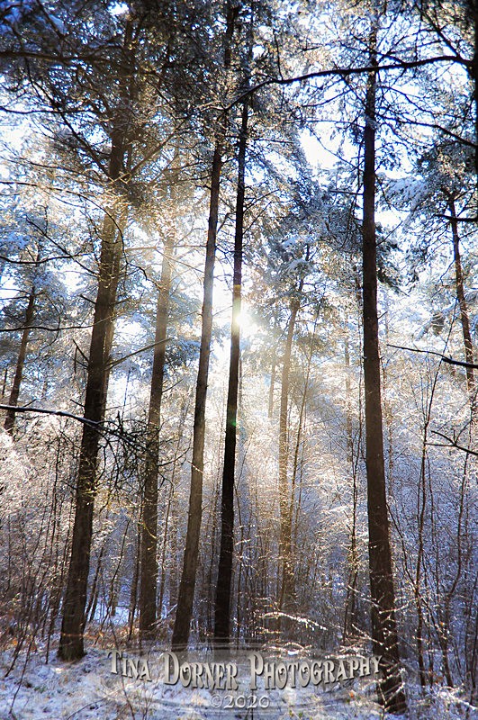 Icy Shining Space