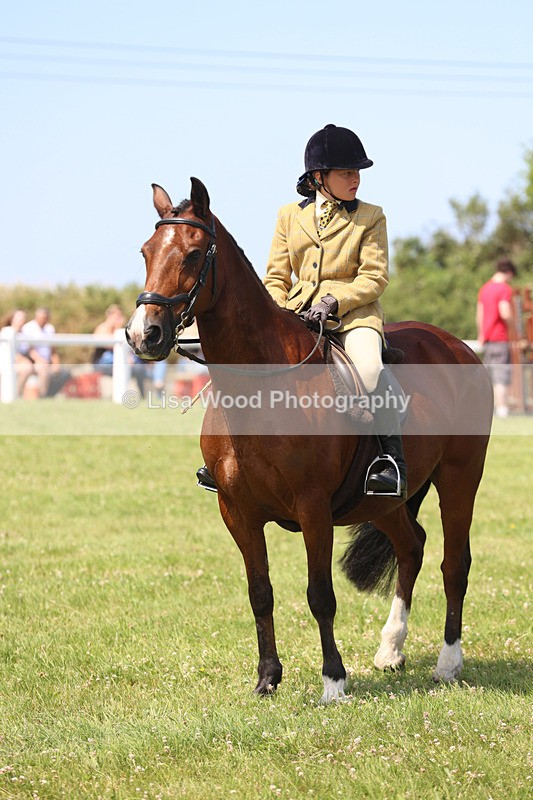 JPP_3310 - Class 22: Working Hunter 70cm