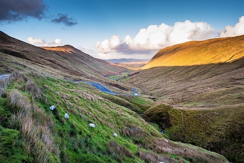 MF1_1263-Edit - \Ardara & Narin/Portnoo