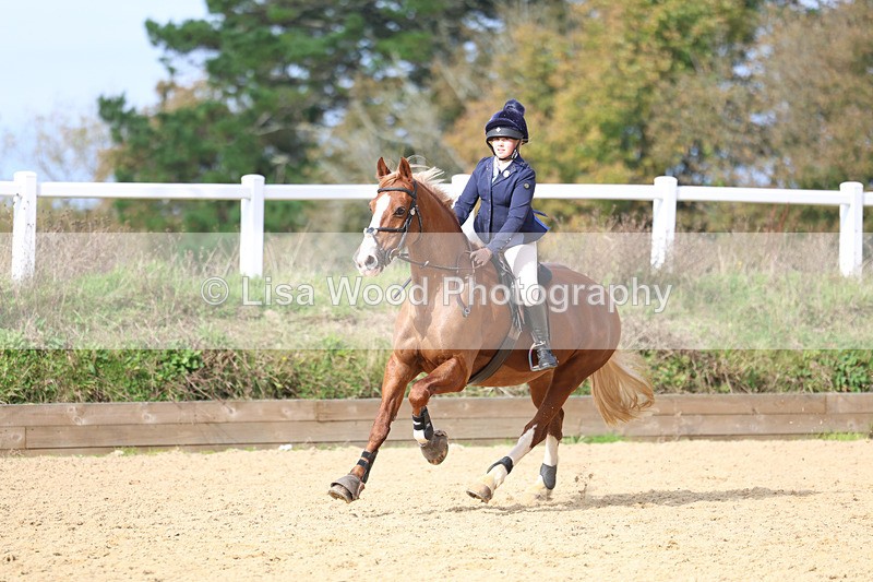 3E7A7430 - Class 3: 60cm open