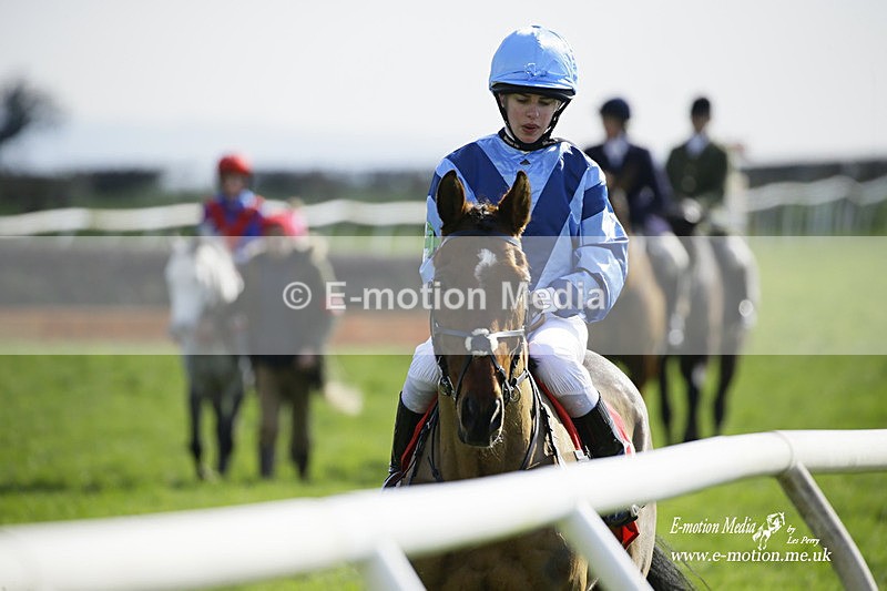 PtP 060322 118 - Blackmore & Sparkford Vale Hunt PtP 06/03/22