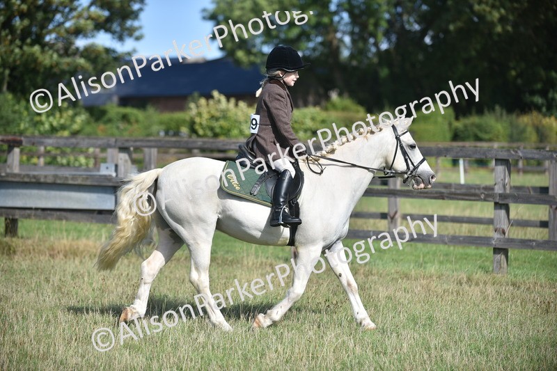 20260906-0958 - Class 7 - Absolute Novice Jumping 35cm