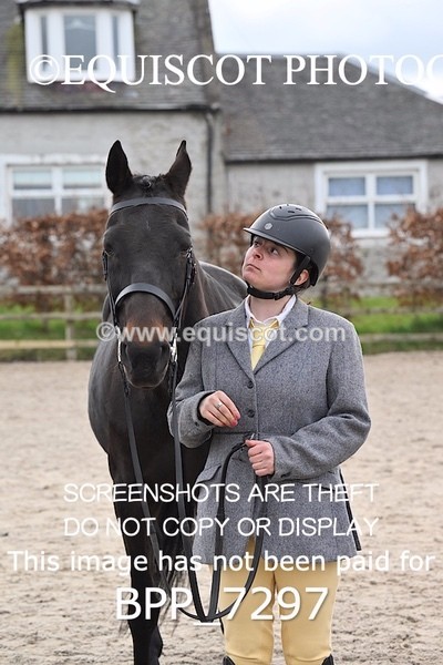 BPP_7297 - RING 1  (RIDDEN HORSES / IN HAND / VETERAN ETC)
