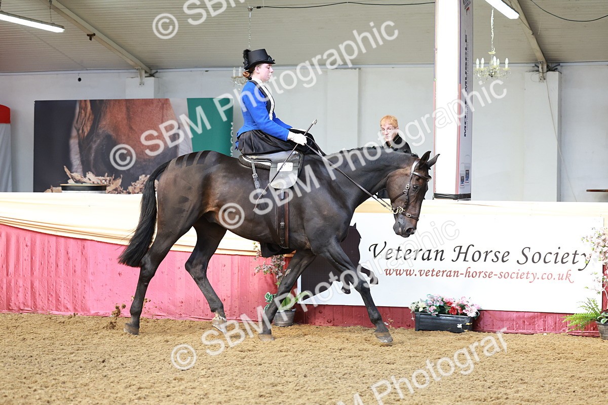 SBM_13543 - Class 105 - Ridden Costume - Side Saddle