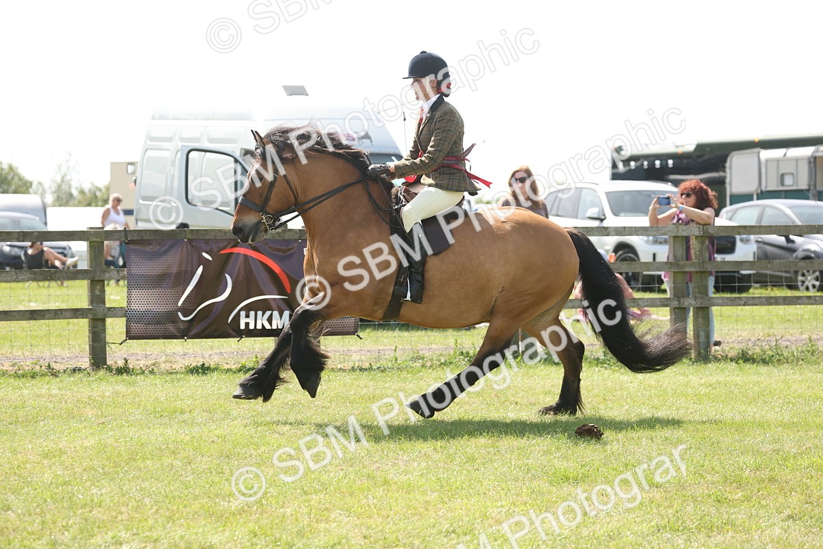 SBM_07713 - Class 26-30 - Mountain and Moorland Ridden