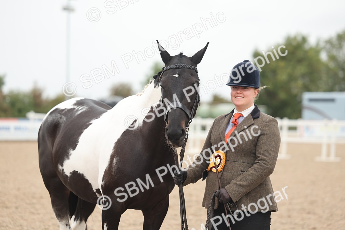 SBM_19897 - Class 318 - IH Part Bred Horse-Pony