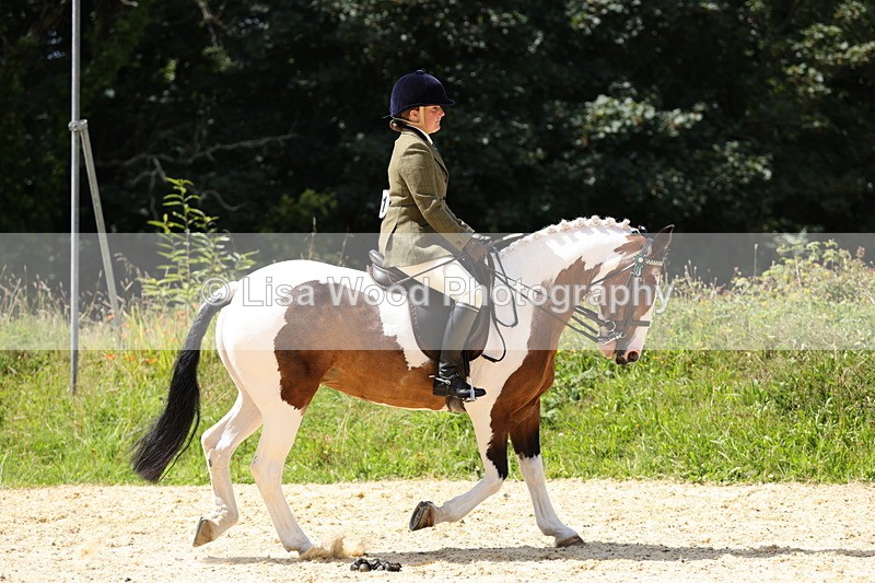 1X9A8654 - Class 22: Veteran