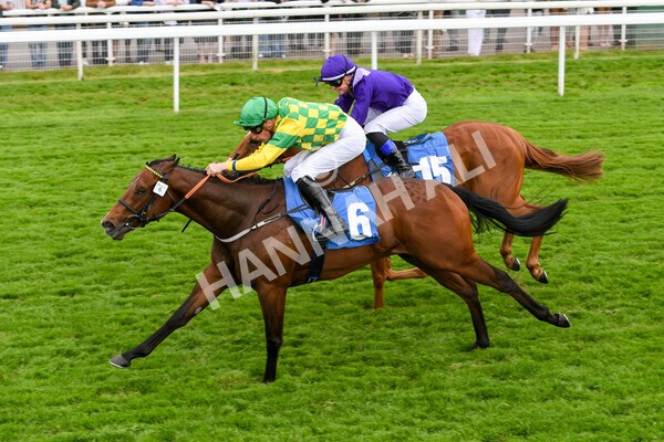 yr22052022r3-41 - Race 3: 4:35pm Sky Bet Sunday Series Dash