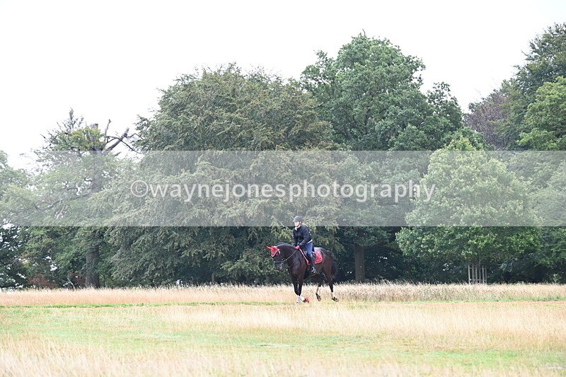 DSC_1682 - Time at Statue 12:13 to 12:32