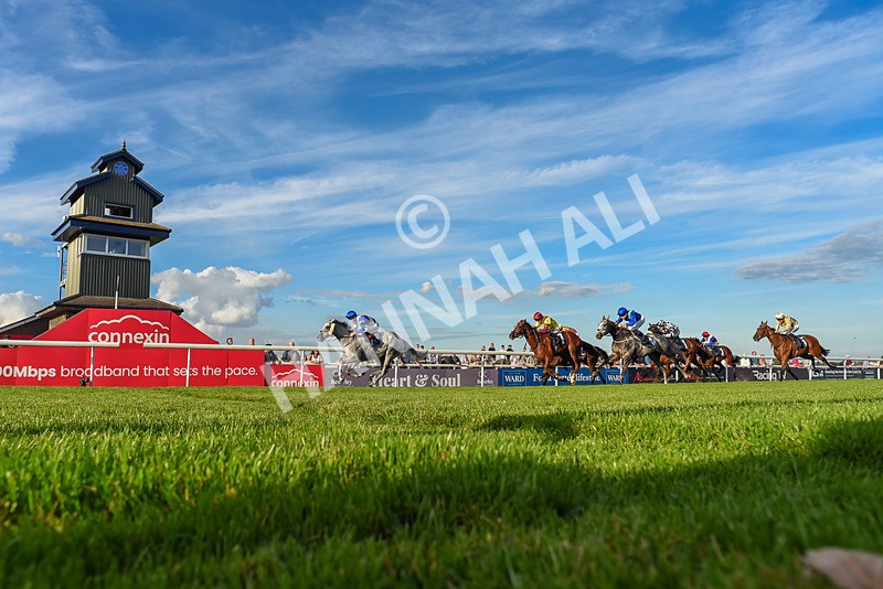 220926-Race 7-Mudamer-7975 - Race 7 5pm Fango Handicap (Div II)