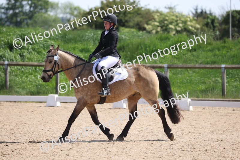 20250520-0801 - Class 5 - Novice 2