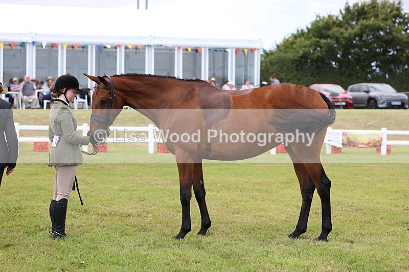 3E7A1752 - Class 9: Open Hunter