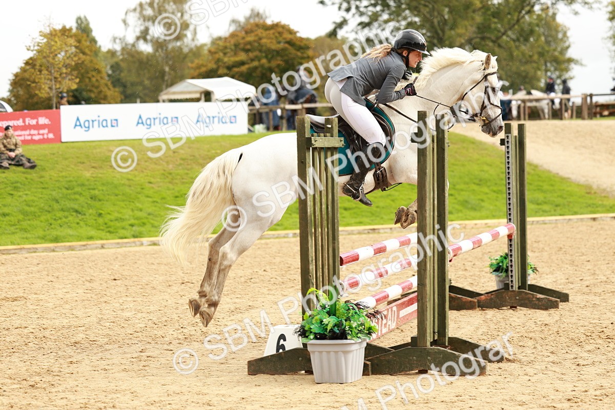 SBM_38411 - Supreme Championship 80cm 85cm